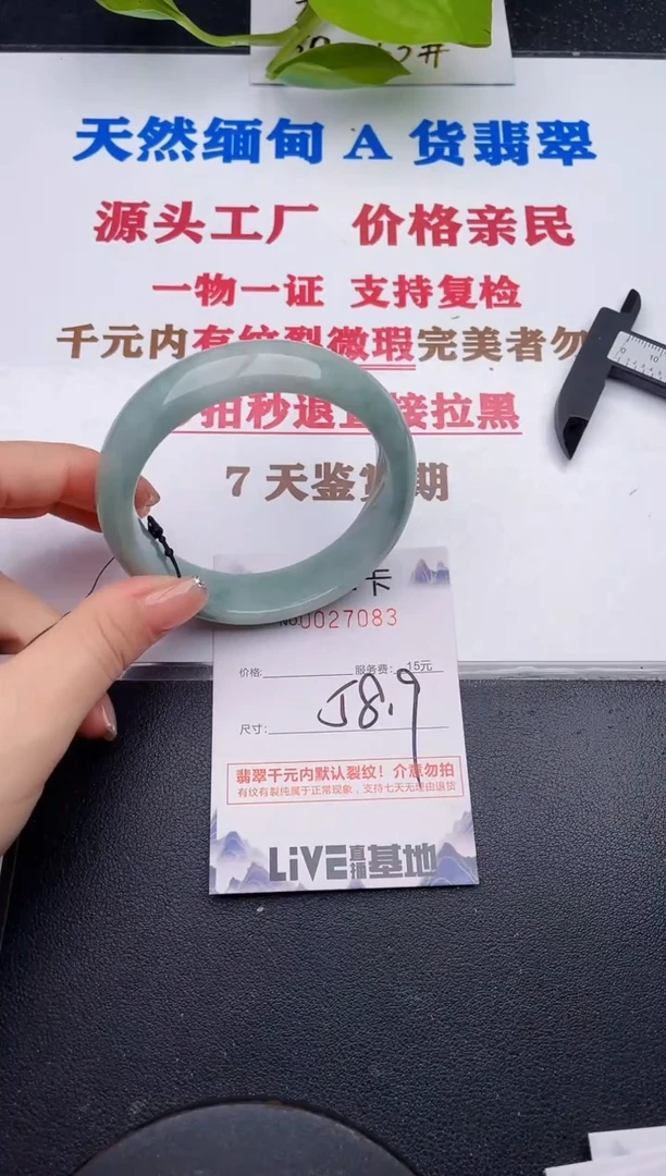 未镶嵌手镯翡翠83