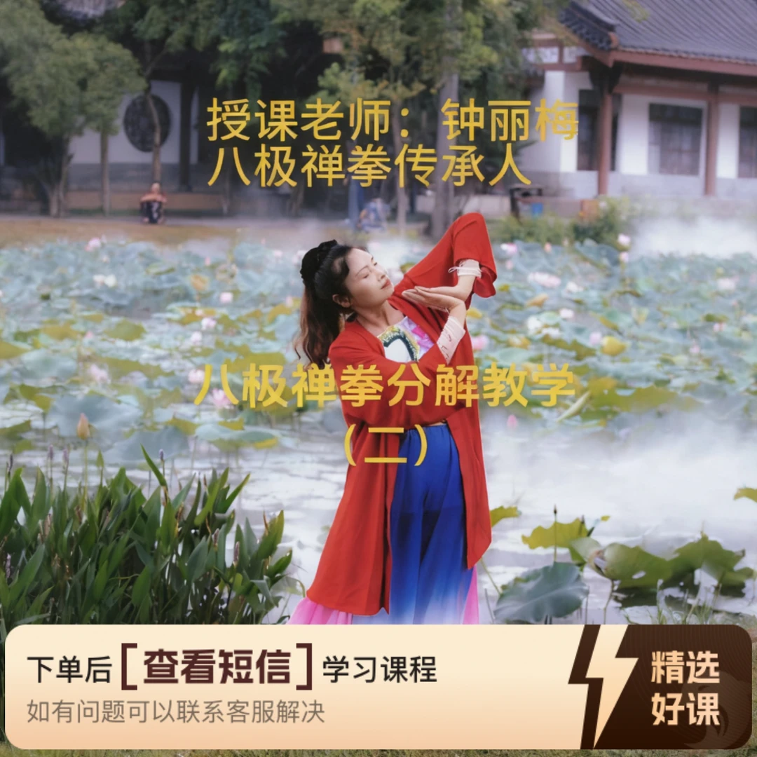 钟丽梅八极禅拳分解教学（二）（留意短信解锁课程）