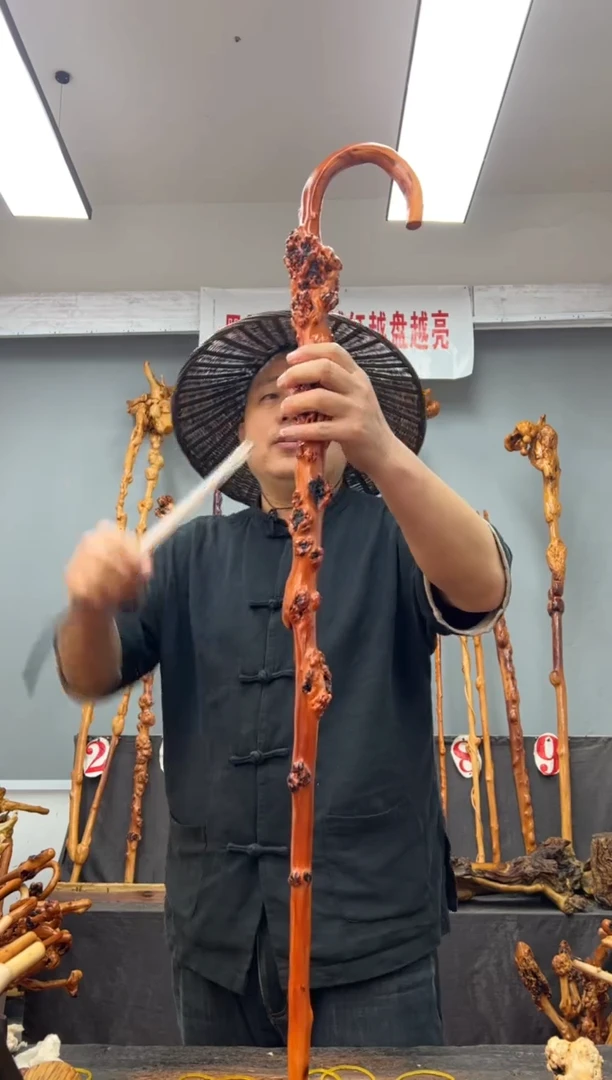 【闪购商品】黑果木其他黑果木769