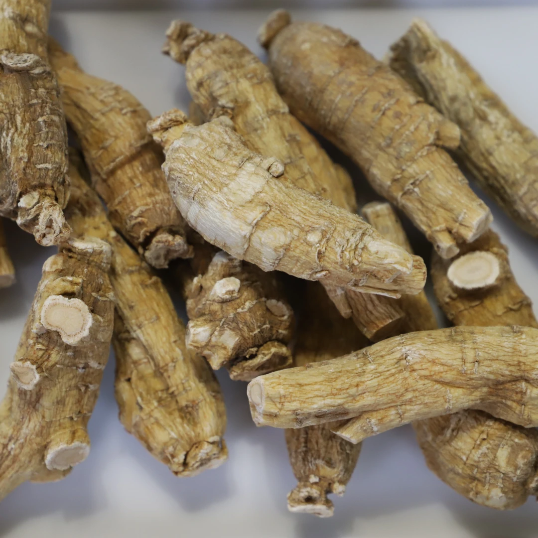 【加拿大西洋参】泡水煲汤养生滋补 250g/袋装+送麦冬