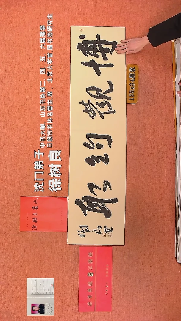 【闪购商品】书法19        徐树良书法作品