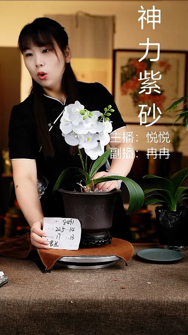 紫砂花盆花卉工艺8491+s