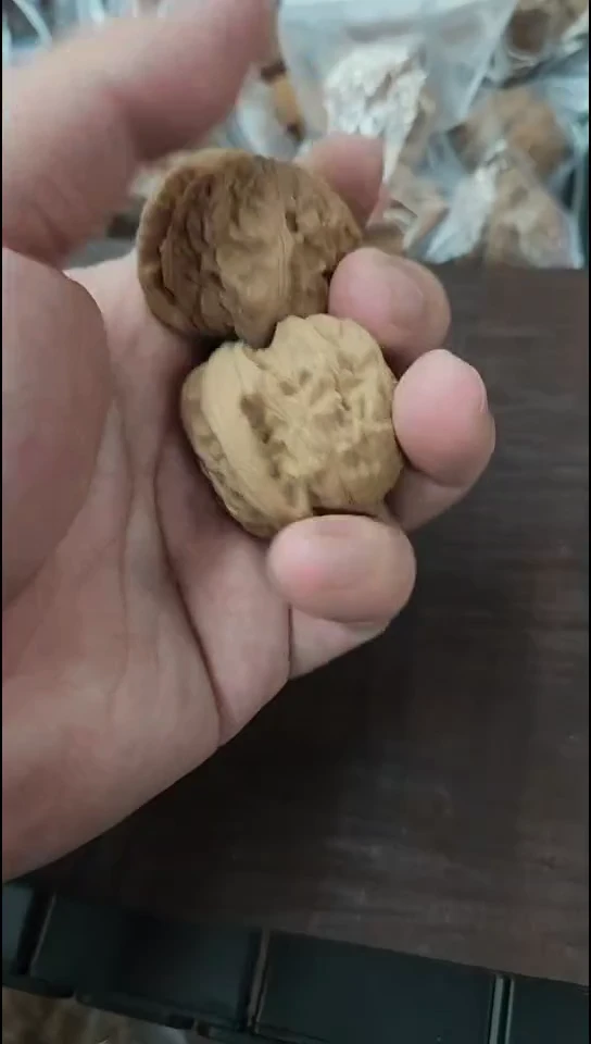 【白狮子43尺寸超大】1单！拼手速！