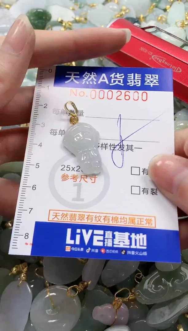 颈饰未镶嵌翡翠纯天然a货翡翠