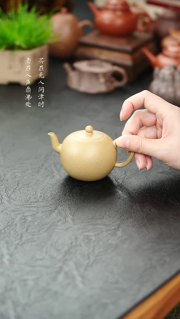 茶壶紫砂拾珍堂梨皮一粒珠