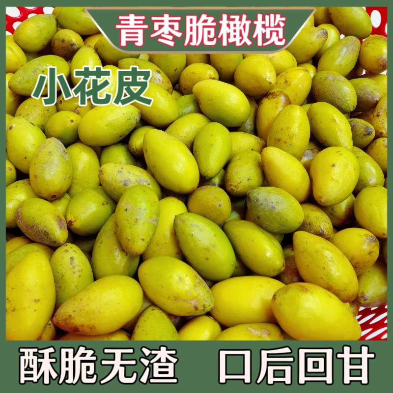 青枣脆橄榄花皮橄榄小花皮橄榄2号橄榄新鲜水果生吃推荐