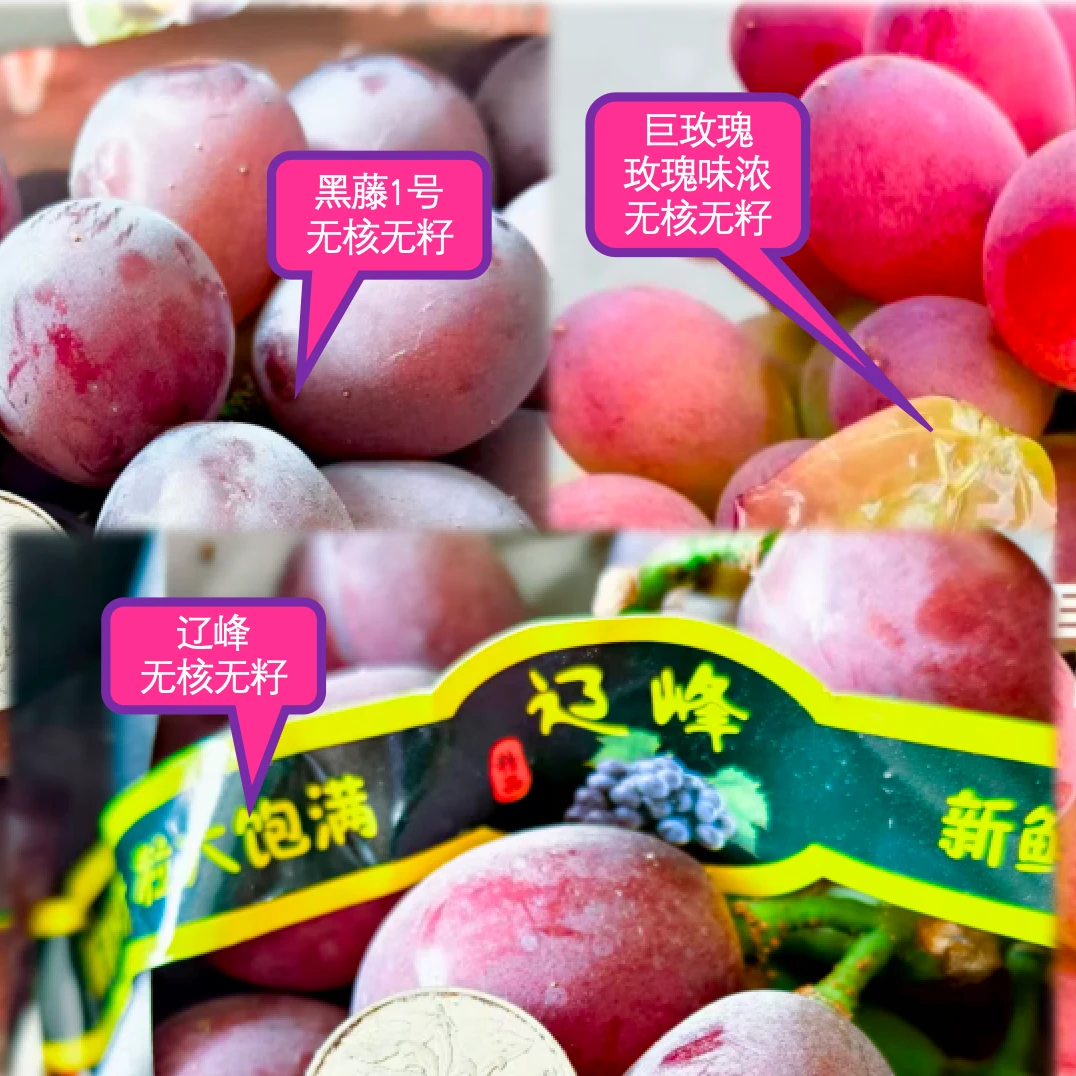 【组合装】巨玫瑰+黑藤1号巨峰+辽峰巨峰3种葡萄组合装新鲜采摘辽宁省