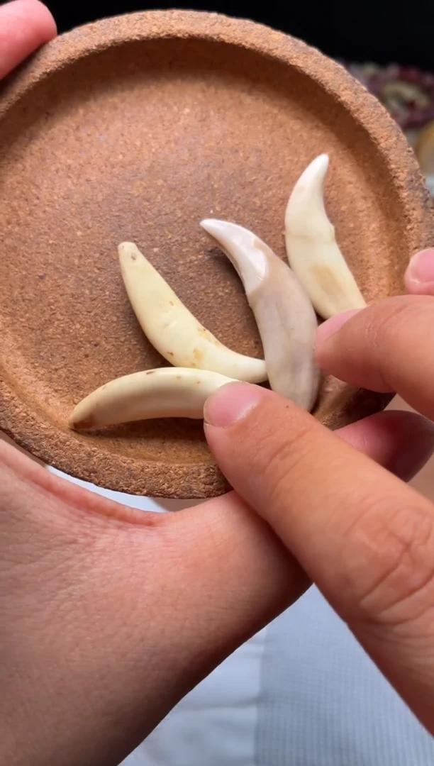 牛骨其他杂件731-牙牙吊坠