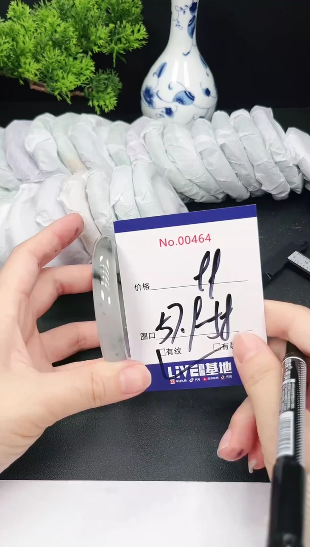 未镶嵌手镯翡翠464