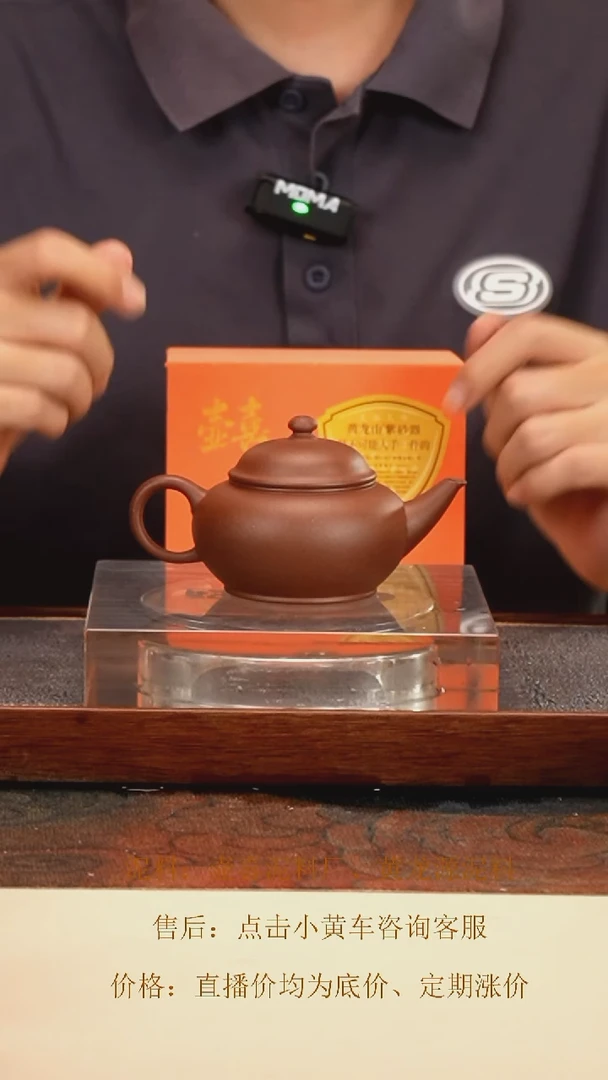 茶壶紫砂 黄龙源 紫泥 盔帽水平 140cc 钱币孔