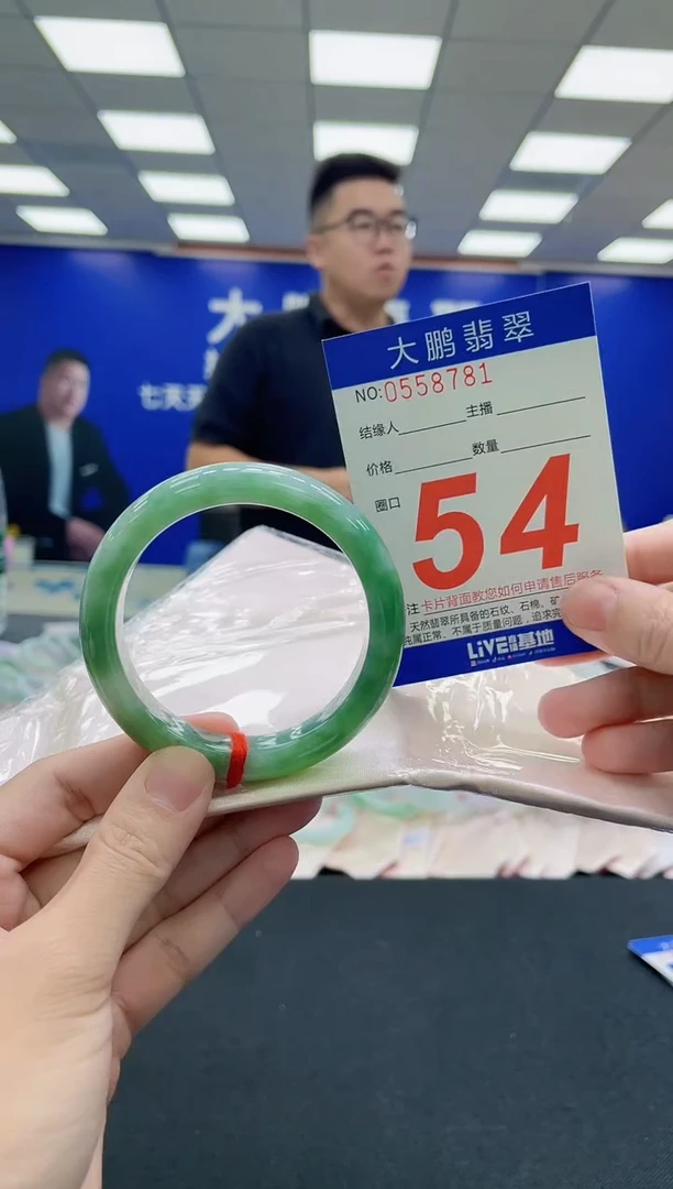 未镶嵌手镯翡翠AAAAAAAAA