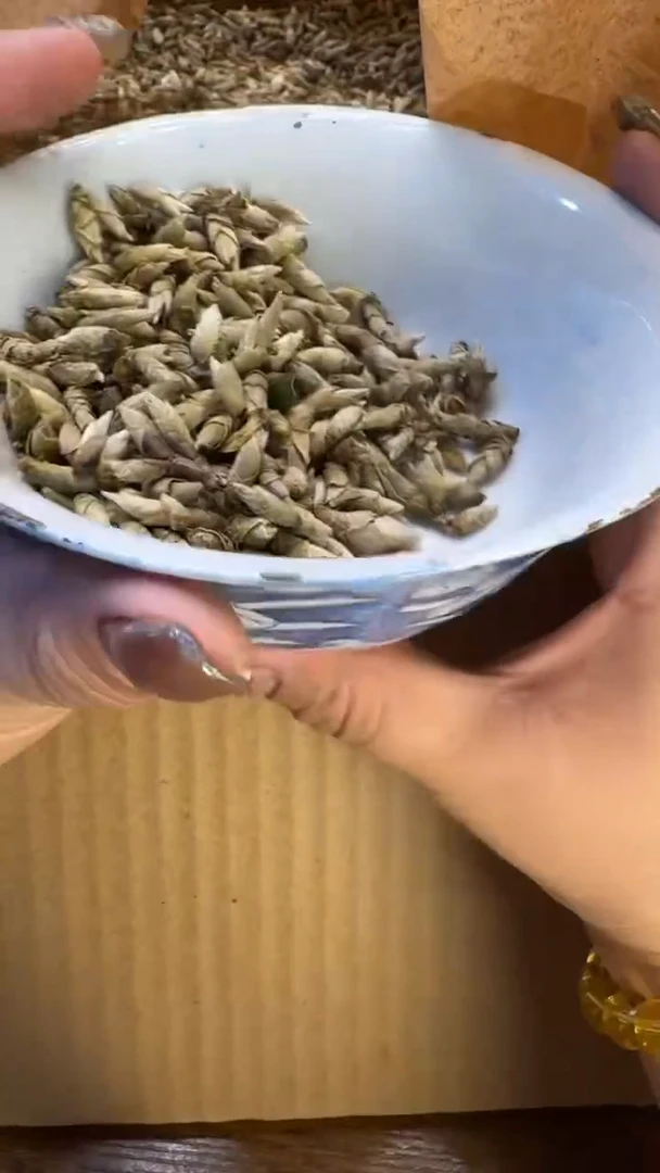 瓷器瑕疵老破旧瑕疵110白雀一斤碗