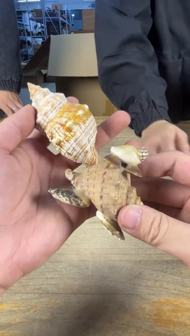 紫砂中古品默认微瑕满十八包邮