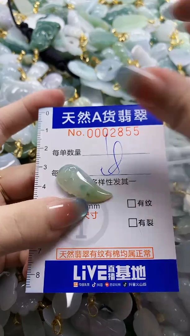 颈饰未镶嵌翡翠纯天然a货翡翠