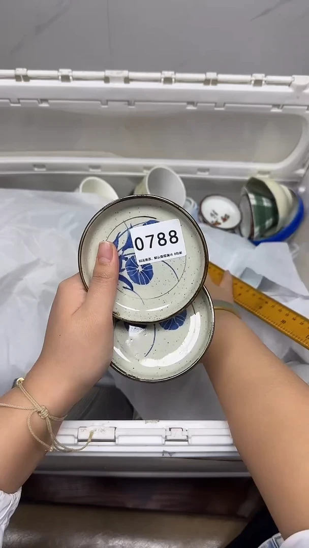 【闪购商品】788回流瓷器默认微瑕，18.8包邮