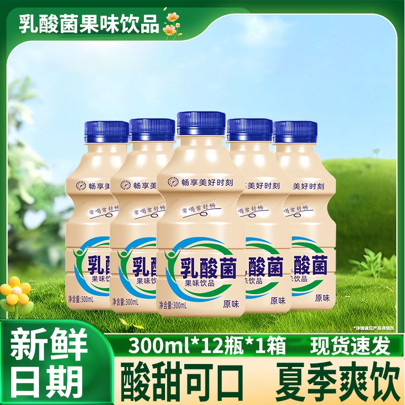 乳酸菌风味饮料300ml*12瓶低糖低卡益生菌饮料一整箱批发奶味好喝