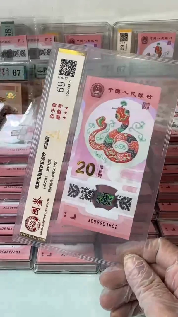【闪购商品】塑料099901902-蛇钞单张！
