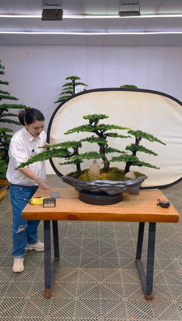 无花朵一物一拍一物一拍