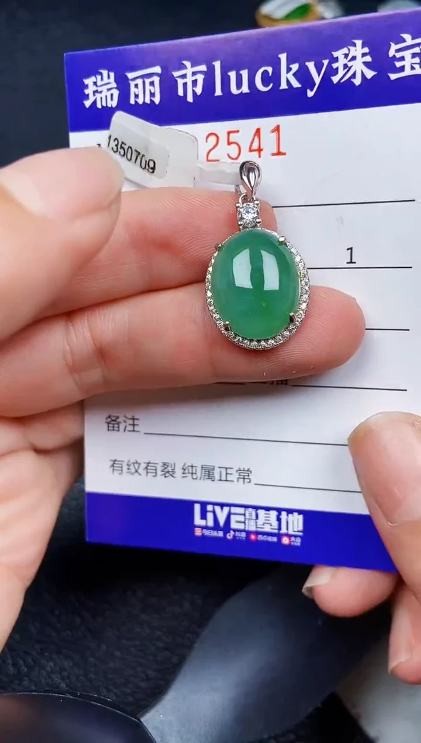 翡翠银S925镶嵌颈饰2541