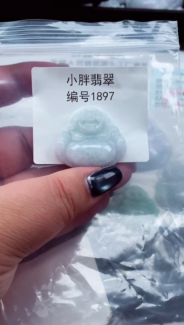 颈饰未镶嵌翡翠缅甸天然A货翡翠1897