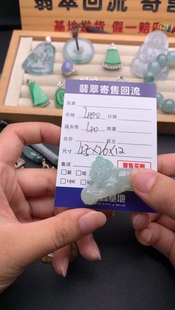 翡翠未镶嵌颈饰10137546