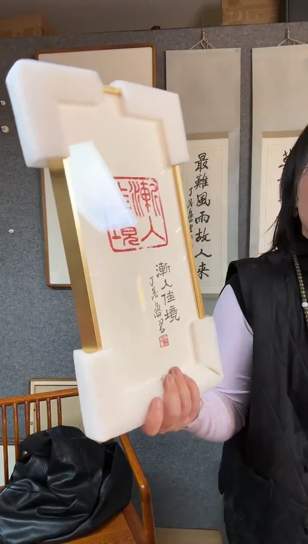 【闪购商品】书法丁茂鲁 书法 709 渐入佳境