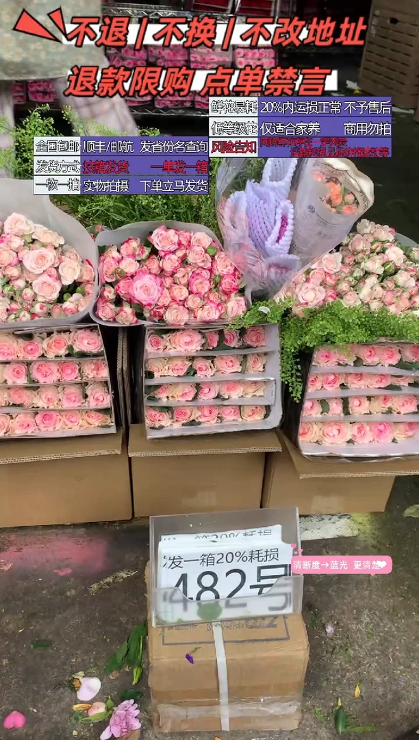 482号♥含20%耗损发一箱