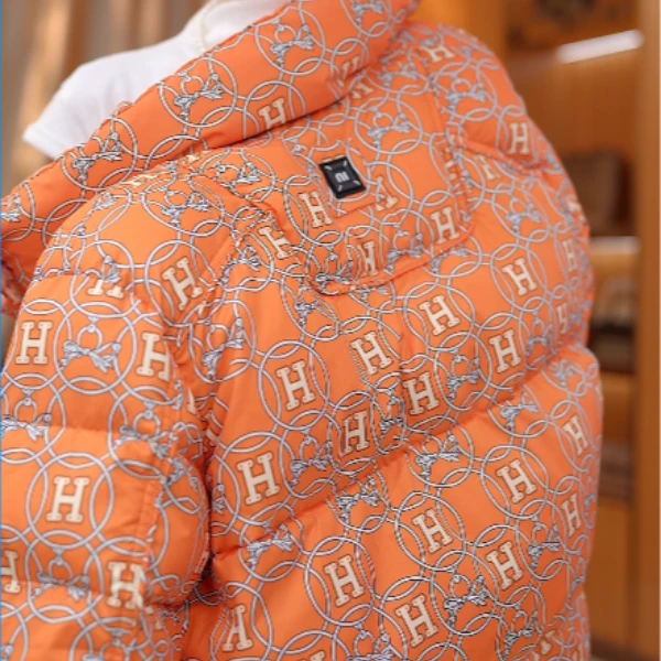 婷婷-2025新款时尚保暖羽绒服外套女W55Q39062