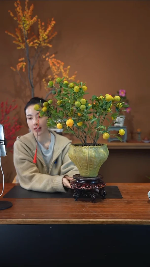 全部花朵小金橘浅绿盆盆景盆景