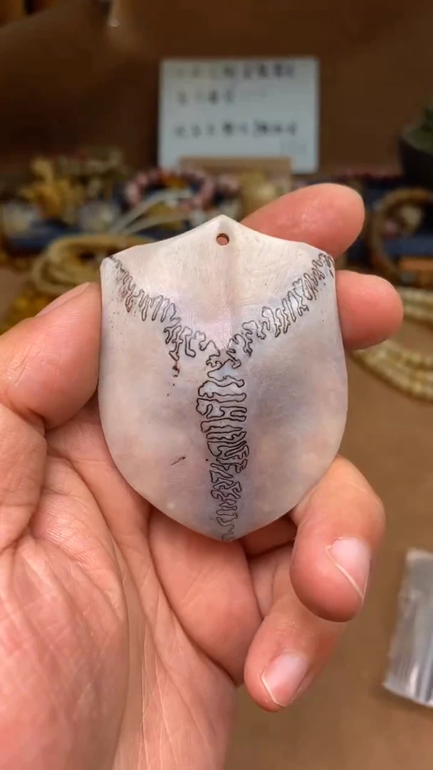 【闪购商品】鹿骨其他母鹿三界A21