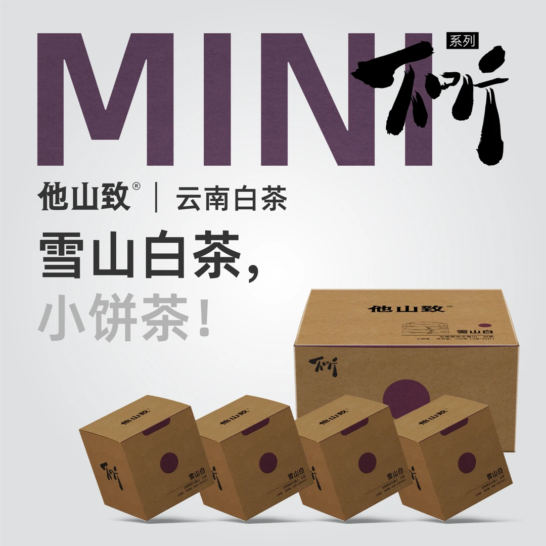 他山致「雪山白茶·不听系列」2023年原料云南临沧老白茶160g/盒