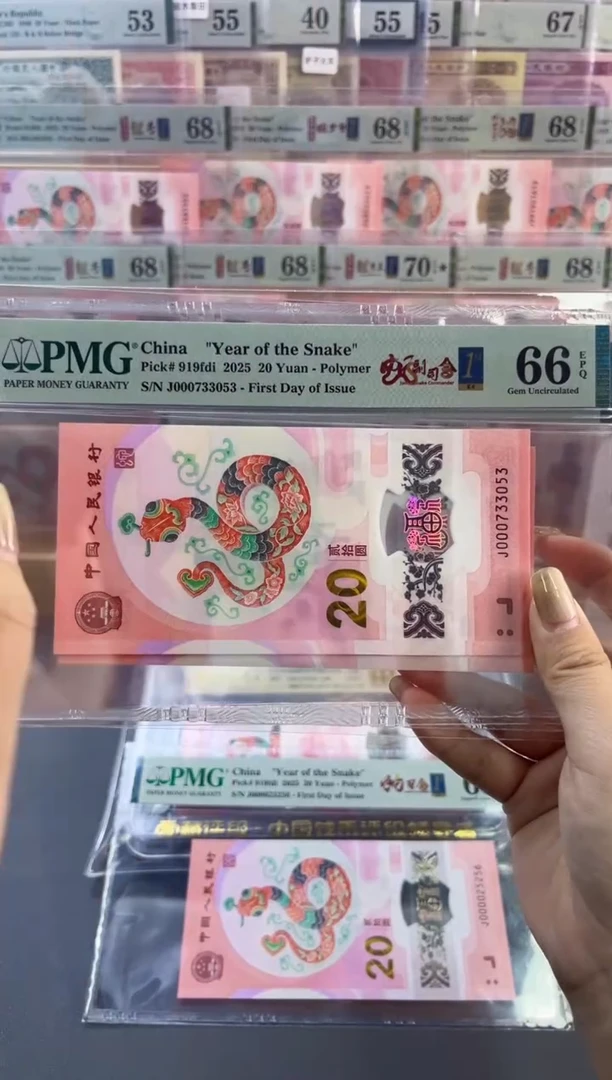 【闪购商品】塑料蛇副司令首日标 PMG66分尾053
