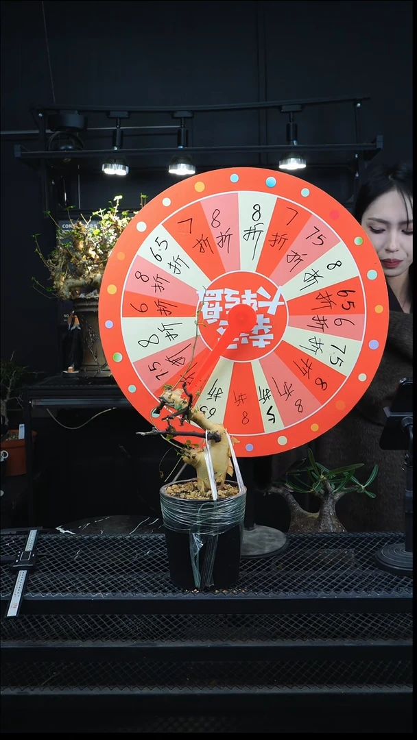 小*贝卡卡卡11111