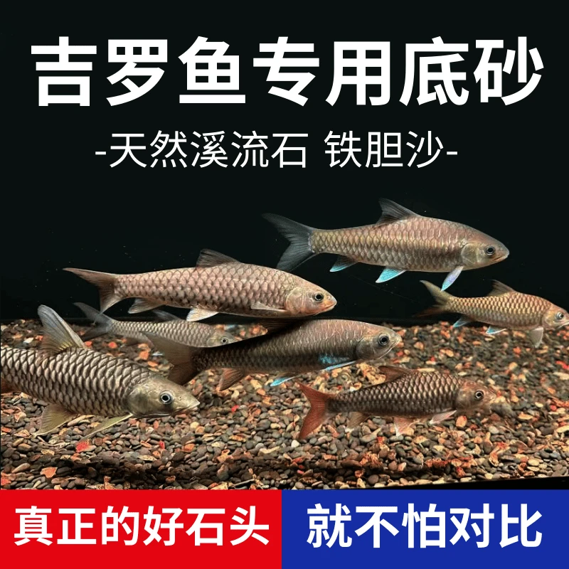 吉罗鱼专用铁胆沙溪流石鱼缸造景沙天然黑工砂乌龟缸水族装饰鳌虾