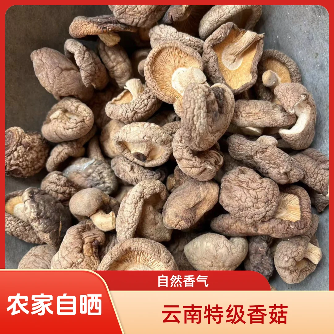 云南特产干香菇农家自晒新货肉厚菇香浓炖汤泡发率高肉质肥厚500g