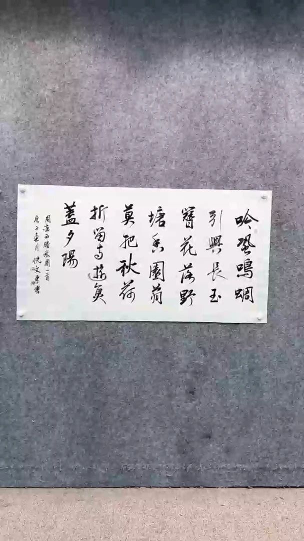 【闪购商品】书法pmw不二轩旗舰店国画NWD8