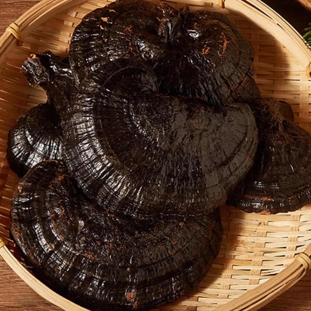高海拔特产无柄黑灵芝500g甄选