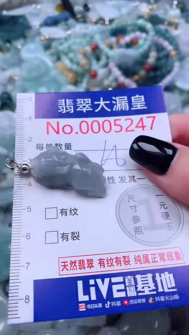 颈饰未镶嵌翡翠5247