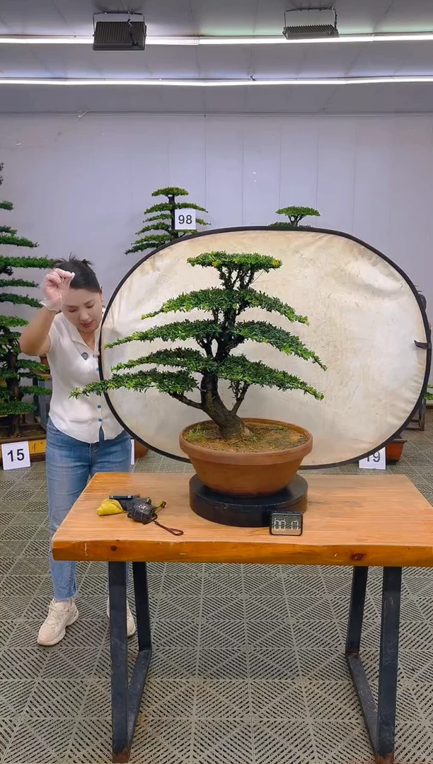 无花朵一物一拍一物一拍