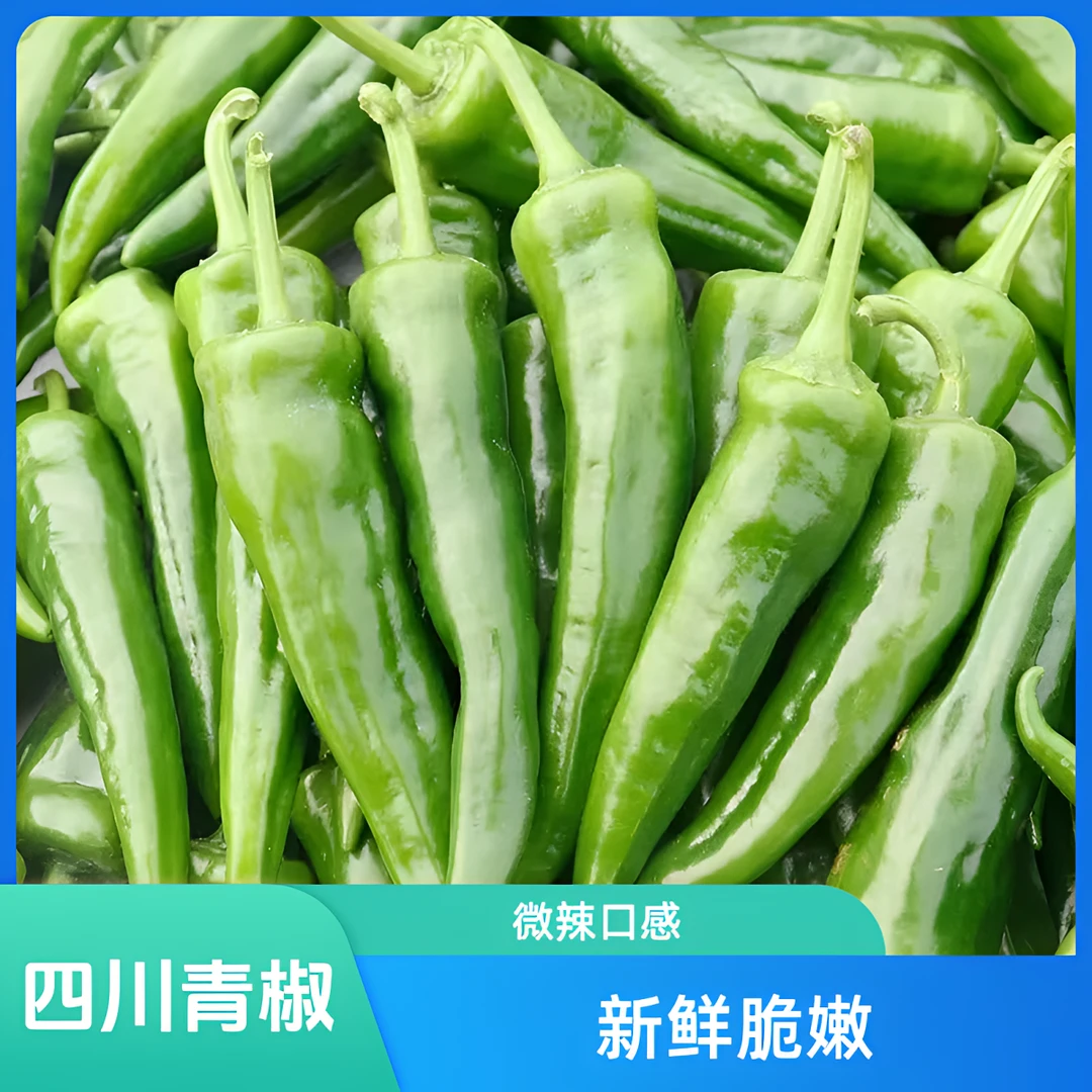 2025年四川头茬虎尖辣椒皮脆嫩爽口微辣新鲜现摘现发