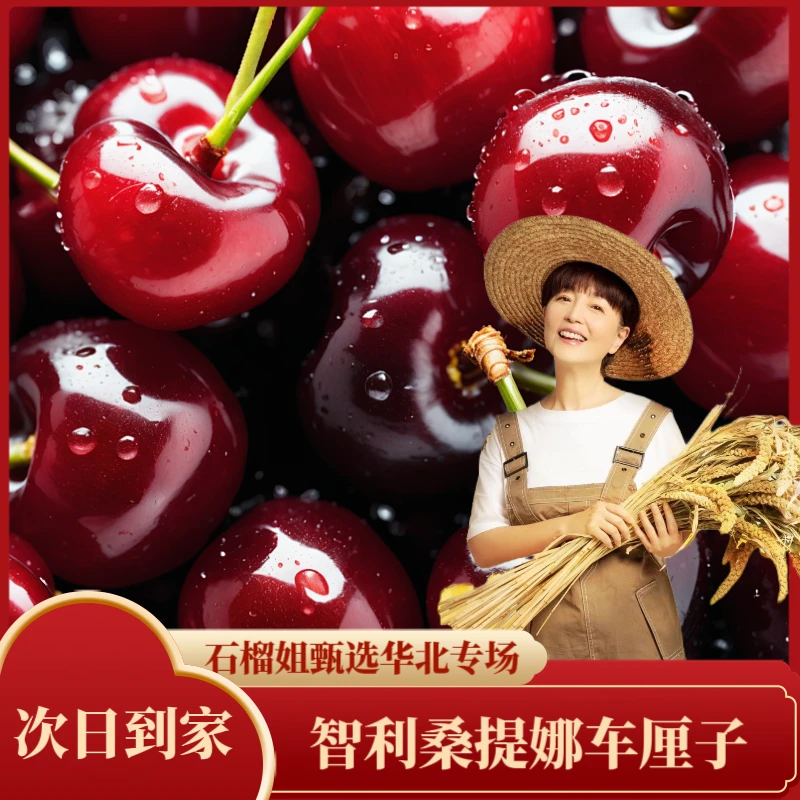 【2025专享破价】智利进口桑提娜车厘子2JD-4JD 原箱【现货现发 次日送到家生鲜无法退换介意慎拍 】