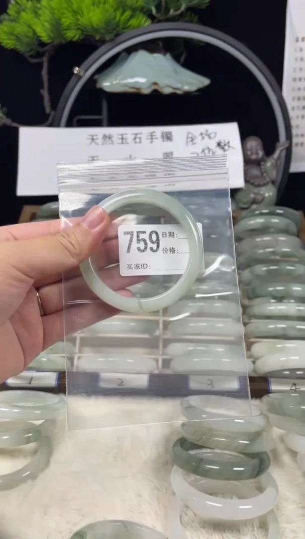 未镶嵌手镯石英质玉（天山翠）759