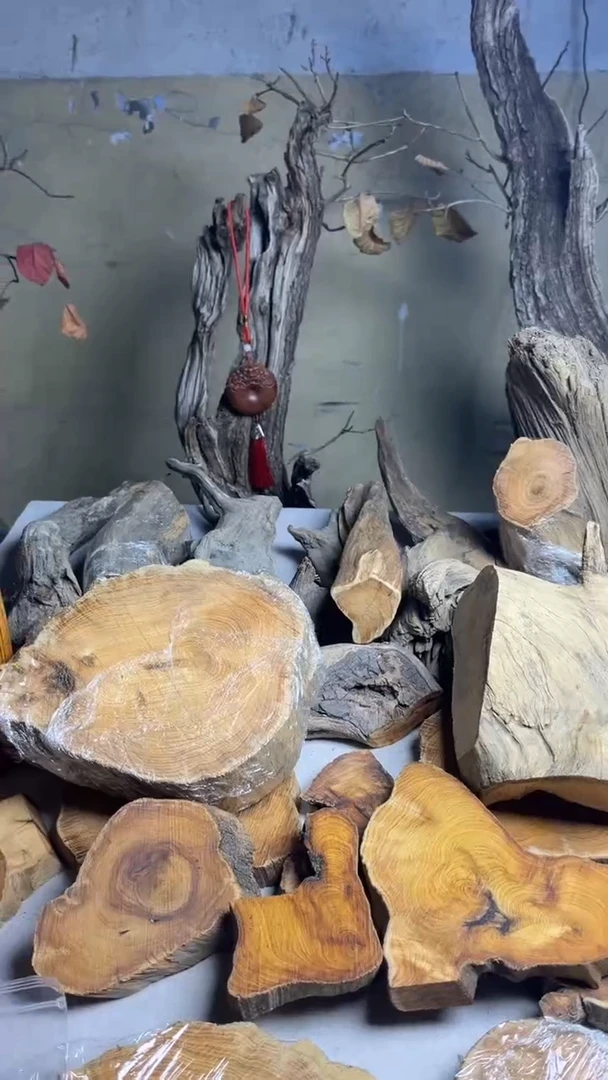 柏木（崖柏）防拍 不要拍