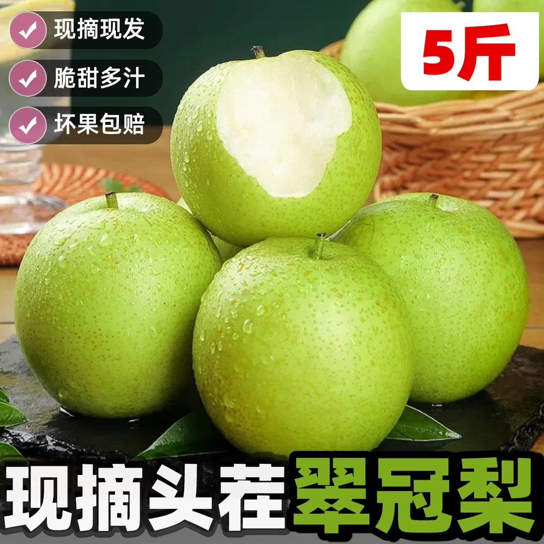 【25年头茬】5斤正宗砀山梨整箱水果维生素c水果青皮梨整箱批发10斤
