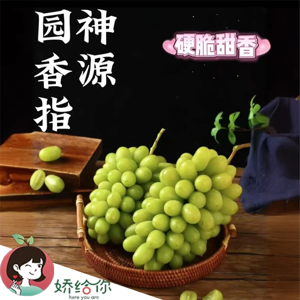 【顺丰包邮】神园葡萄·园香指  脆甜多汁3斤礼盒装