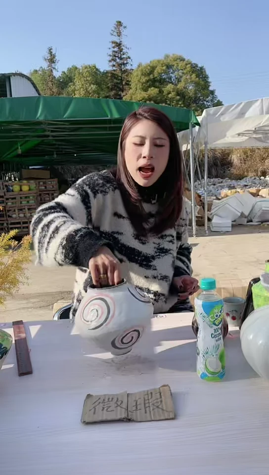 【闪购商品】陶瓷景德镇手工陶瓷微瑕介意勿拍