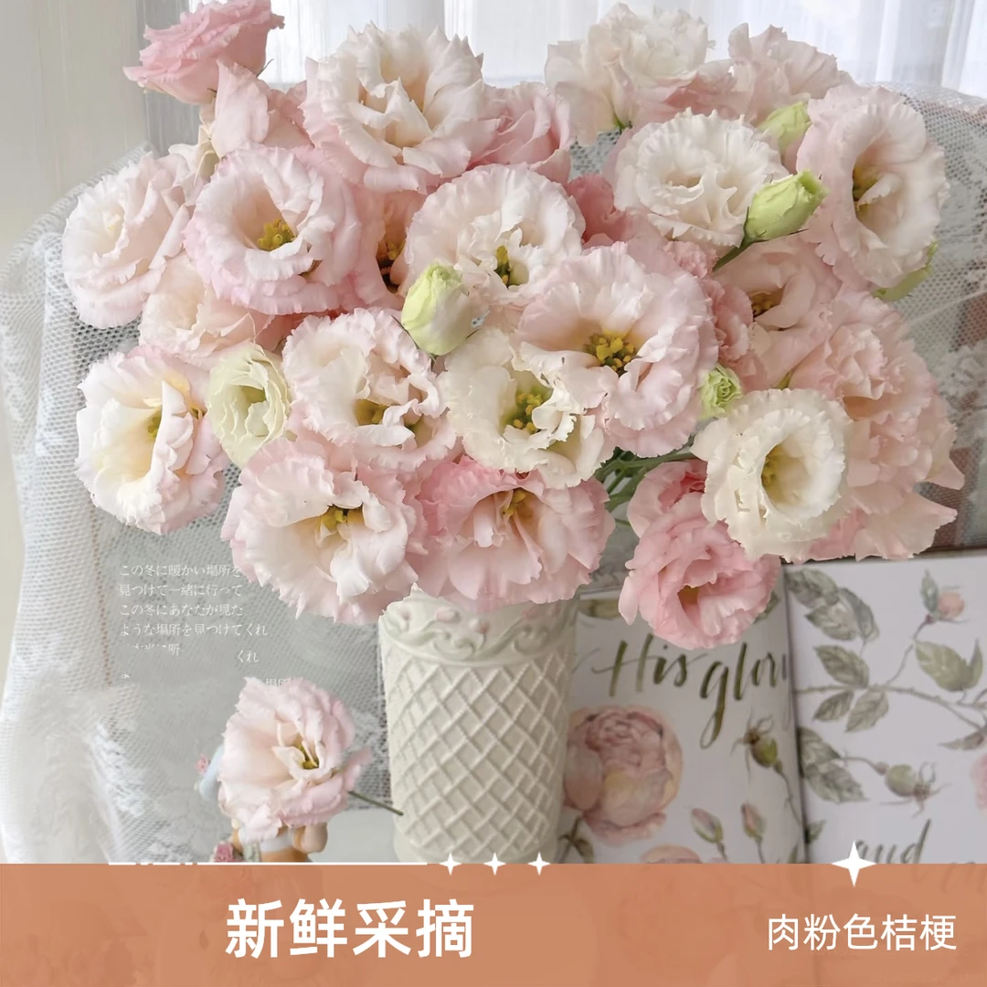 【新疆鲜花次日达】肉粉色桔梗400g装-花鲜达家居养花插花生活鲜花全场两单包邮送货上门今天拍明天到云南基地