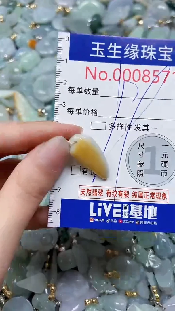 【闪购商品】翡翠颈饰未镶嵌闪购00008571