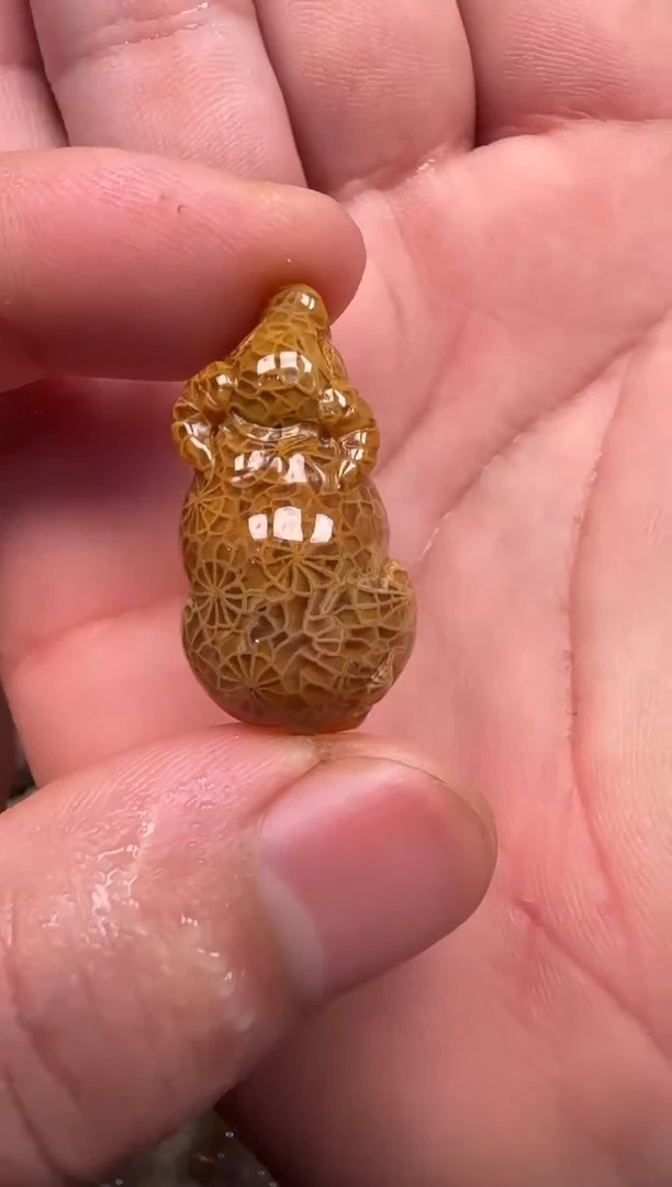 硅化珊瑚（珊瑚玉）未镶嵌颈饰110