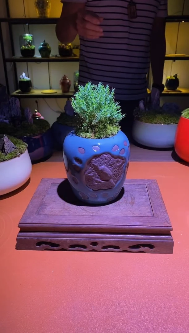 吉鑫福利精选福力